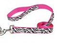 Wild Side Zebra Lead
